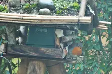 DSCF8005 (2).webp