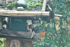 DSCF8007 (2).webp