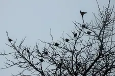 DSCF8002 (2).webp