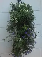 20161125_163719.webp