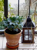 P1000566(1).webp