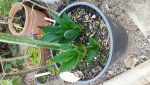 20161126_145312.jpg