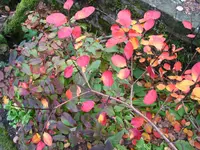 IMG_7616.JPG