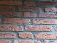 P1020350.webp