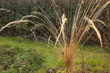DSCF8059.JPG