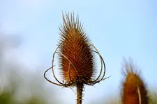 2016-10-14-9806 - Kopie.webp