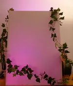 P1020351.webp