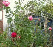 IMG_7160 (2).webp