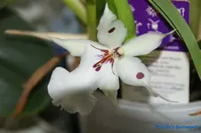 comp_DSC06021.webp