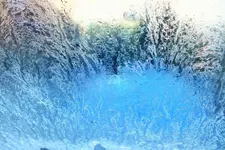 DSCF8097 (2).webp