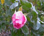 IMG_7198.JPG
