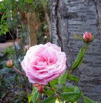 IMG_7200.JPG