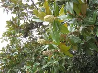 IMG_1834-001.webp