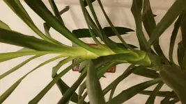 20161129_231940.webp