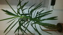 20161129_232047.webp