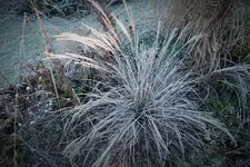 DSCF8102 (2).webp