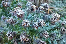 DSCF8109 (2).webp