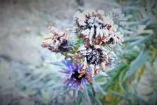 DSCF8108 (2).webp