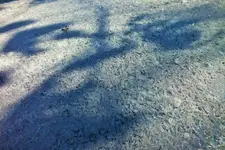 DSCF8114 (2).webp