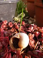 P1240911.webp