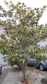IMG_20161202_123749.webp