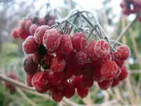IMGP0107.webp