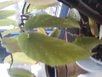 DSC03928.webp
