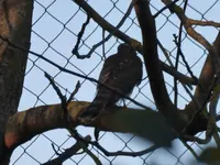 P1250219.webp