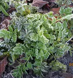 IMG_7216.webp