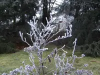 BILD6104.webp