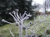 BILD6106.webp