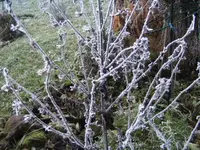 BILD6112.webp