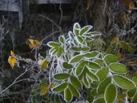 BILD6114.webp