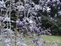 BILD6103.webp