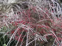 BILD6117.webp