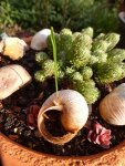 08 Billabong Platz ist in der kleinsten Schnecke.JPG