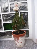 P1250386.webp