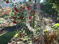 IMG_7624.webp