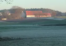 Silberreiher.jpg