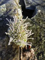 P1020380.webp