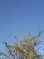 P1020387.webp