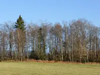 P1020407.webp