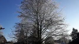 20161205_113039.webp