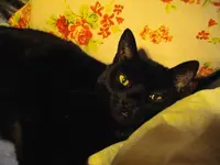 IMGP4094.webp