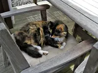 IMG_8478 (1).webp