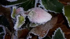 20161206_111256.jpg