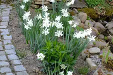 DSCF2675.webp