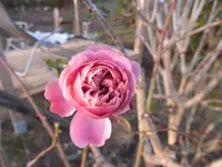 P1250330.webp