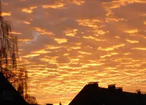 P1020412.webp