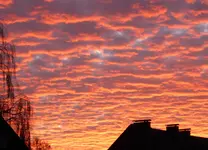 P1020416.webp
